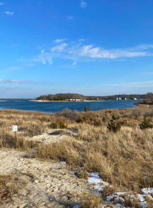 A Walk Outside: Elizabeth A. Morton National Wildlife Refuge • James ...