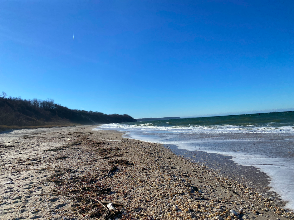 A Walk Outside Hallock State Park Preserve • James Lane Post