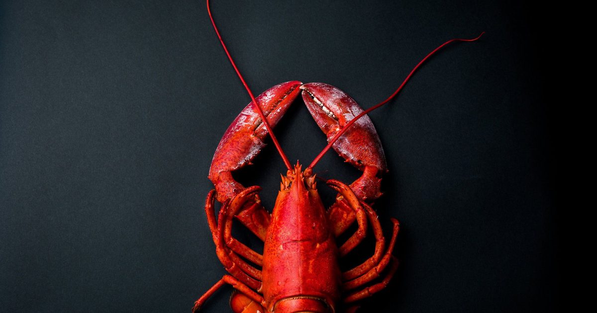 Lobster Night at Claudio’s Tavern and Grill • James Lane Post