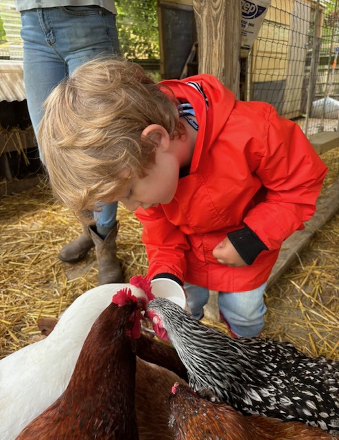 Holiday Camp At The Green School